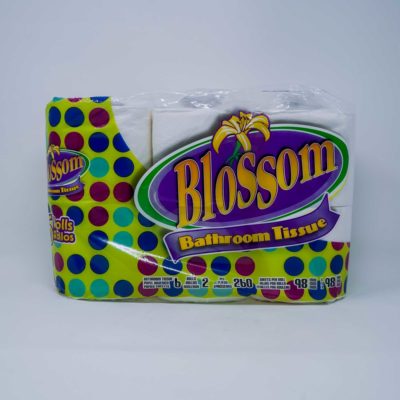 Blossom B/Room Tissue 12pk